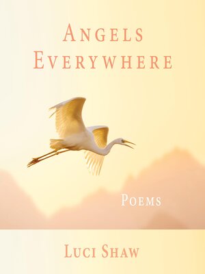 cover image of Angels Everywhere